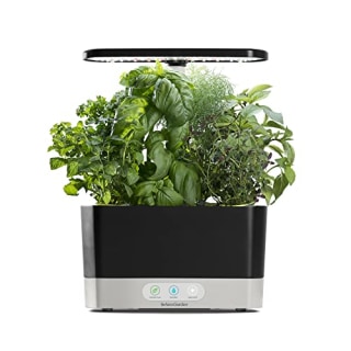 AeroGarden Harvest with Gourmet Herb Seed Pod Kit