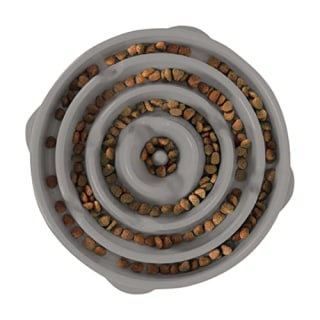 Outward Hound Fun Feeder Slo Bowl