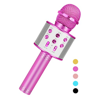 Karaoke Microphone