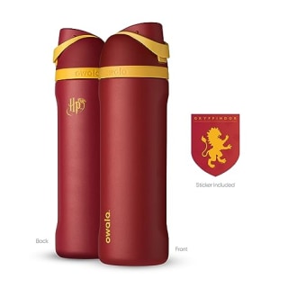 "Harry Potter" FreeSip Insulated Stainless Steel Water Bottle with Straw