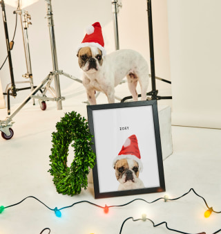 West & Willow Custom Pet Portraits