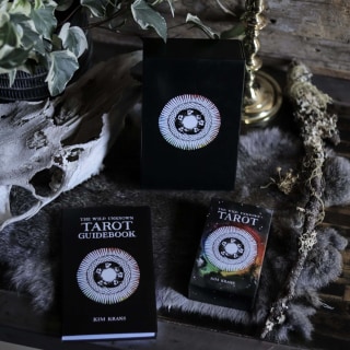 The Wild Unknown Tarot Deck & Guidebook.