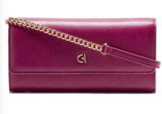 Cole Haan Leather Wallet on a Chain