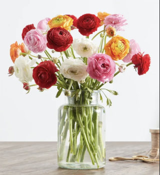 1-800-Flowers Radiant Ranunculus Bouquet