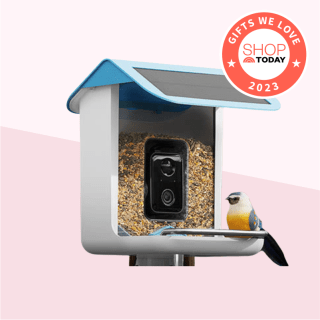 Video Camera Bird Feeder