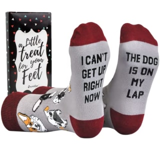 Cavertin Novelty Socks