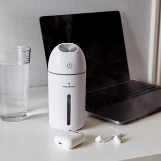 Portable Facial Hydrating Cool Mist Humidifier