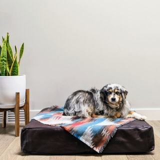 Le Dog Leather Dog Bed