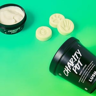 Lush Charity Pot