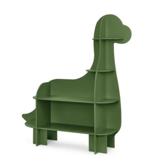 Dinosaur Bookcase
