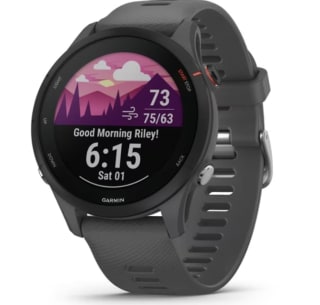 Garmin Forerunner 255