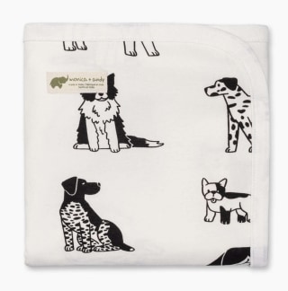 Monica + Andy Coming Home Blanket