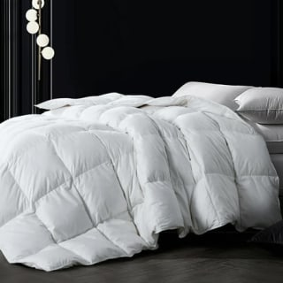 WhatsBedding Down Comforter Feather Duvet Insert