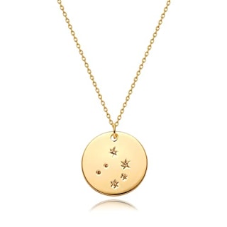 Mevecco Gold Coin Disc Zodiac Necklace