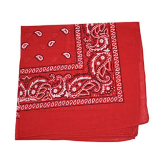 Paisley Bandana
