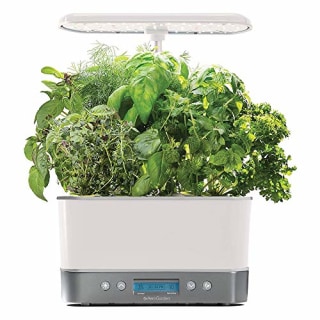 AeroGarden Harvest Elite