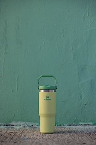 Stanley IceFlow Stainless Steel Tumbler