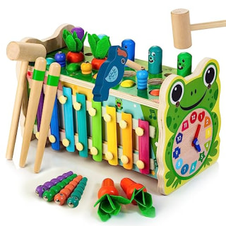 6 in 1 Wooden Montessori Toys for 1 Year Old