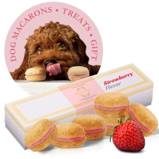 Macaron Dog Treats