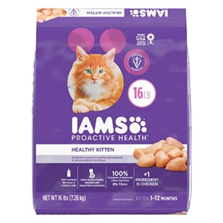 Best cat food for gassy kitten hotsell