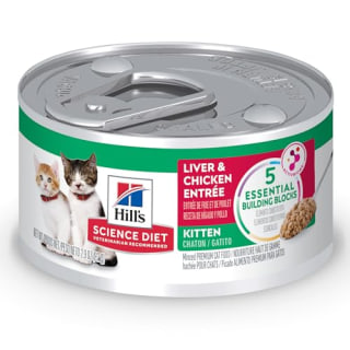 10 Best Kitten Foods of 2024 According to Vets NBC Select