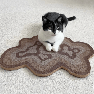 Catenary Bloom Cat Scratcher