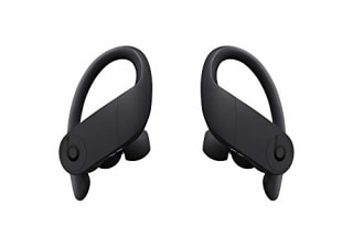 Beats Powerbeats Pro Wireless Earbuds 