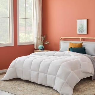Comforter and Duvet Insert