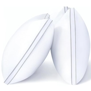 Queen Set of 2 Pillows