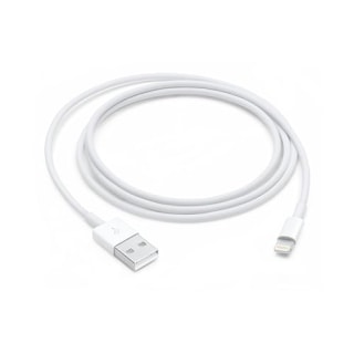 Apple Lightning to USB Cable