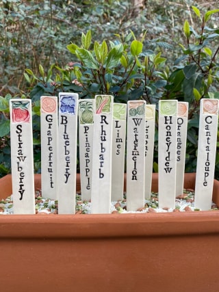 Fruit and Citrus Garden Markers