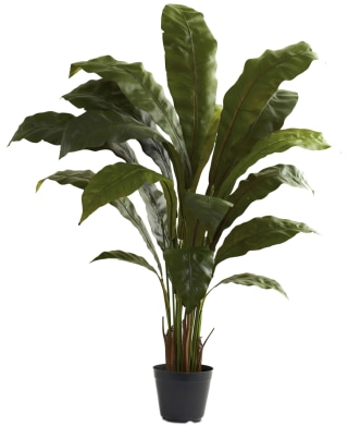 Bird's Nest Artificial Plant