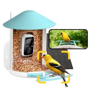 NETVUE Birdfy AI Smart Bird Feeder 