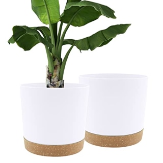 Qcqhdu Plant Pot Set