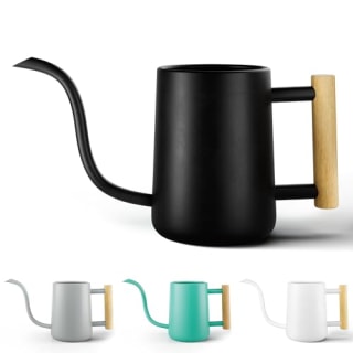 HB Design Co. Indoor Watering Can