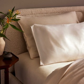 Mulberry Silk Pillowcase