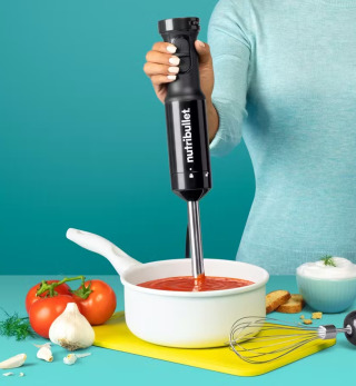 Immersion Blender