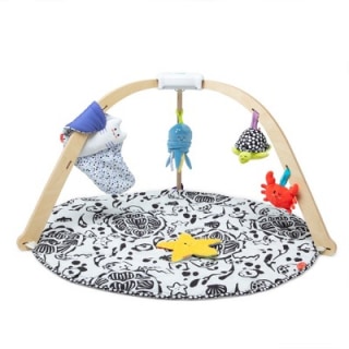 Melissa & Doug Ocean Oasis Easy Fold Play Gym