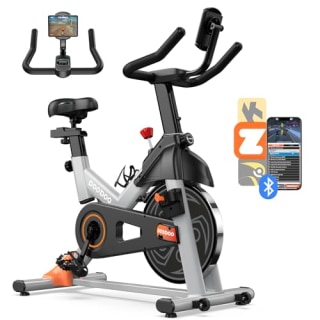 Pooboo Adjustable Exercise Bike