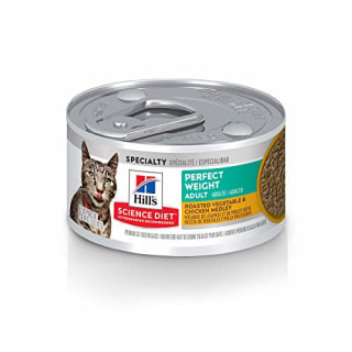 Best affordable cat wet food best sale