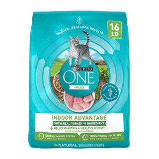 Best dry food for cats that throw up hotsell