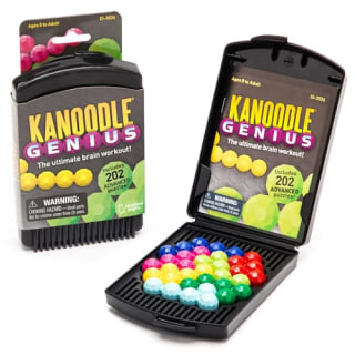 Kanoodle Genius 3-D Puzzle Brain Teaser Game
