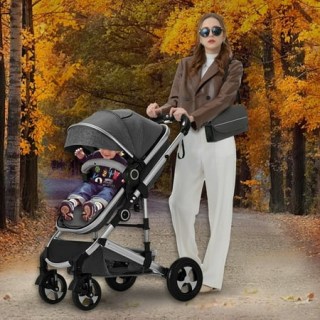 Aileekiss 2-in-1 Convertible Baby Stroller