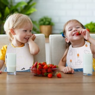 Qweryboo Baby Bibs 10-Pack