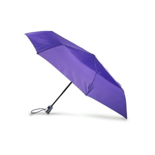 Totes Auto Open and Close Umbrella