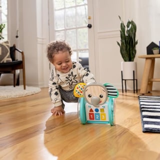 Earl Crawling Baby Toy