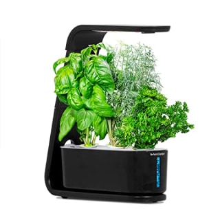 AeroGarden Sprout Indoor Hydroponic Herb Garden