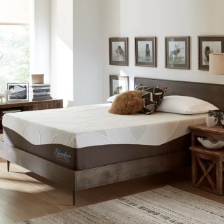 Slumber Solutions Firm Gel Memory Foam Mattress