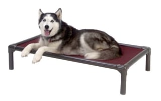 Kuranda Chew-Proof Elevated Dog Bed