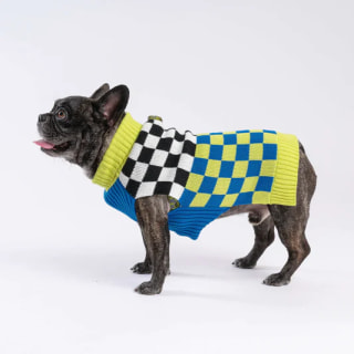 Verloop Pattern Patch Dog Sweater